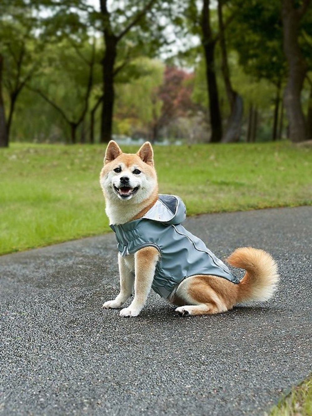 Koolaburra by UGG Aiden Hooded Raincoat for Dogs Pets Blue with Ducks Large NWT